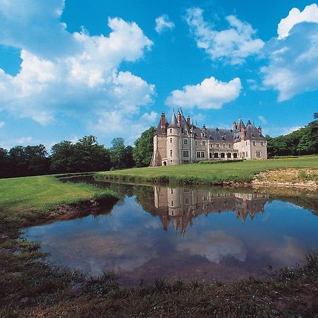 Chateau De La Verrerie Hotel Aubigny sur Nere Bagian luar foto