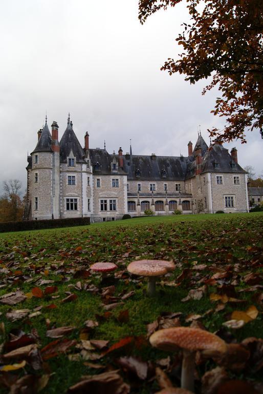 Chateau De La Verrerie Hotel Aubigny sur Nere Bagian luar foto
